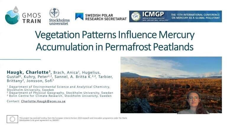 Vegetation Patterns Influence Mercury Accumulation in Permafrost Peatlands
